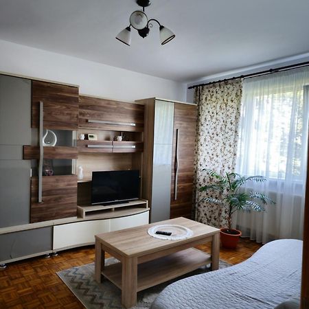Studio Bulevardul Victoriei Brașov Exterior foto